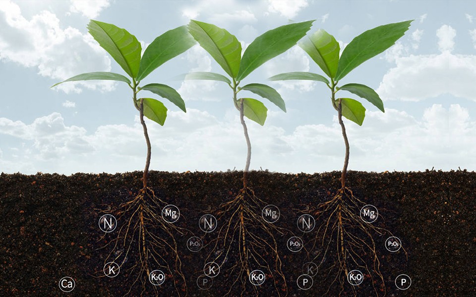 cp41-2.jpg cp41-2.jpg