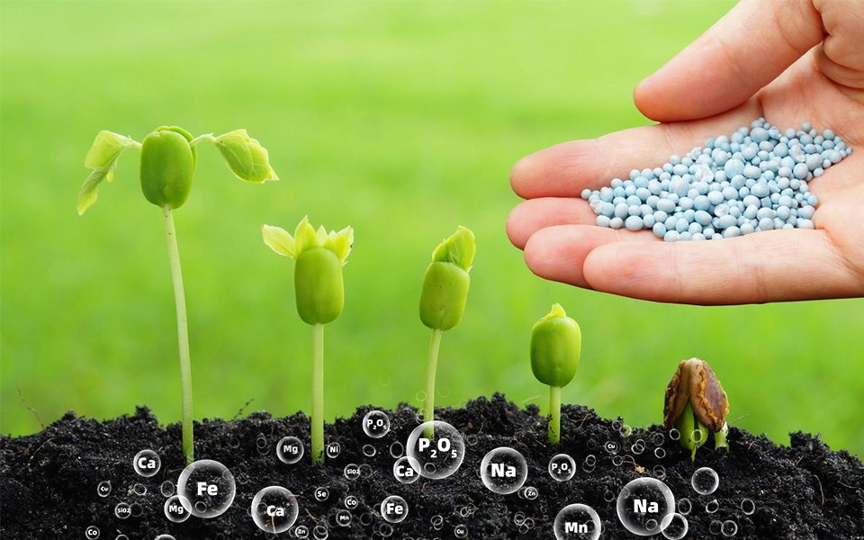 bg43-01.jpg bg43-01.jpg